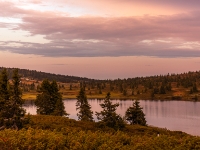 Reinsvand